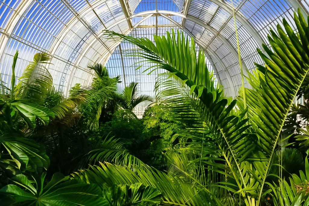 Why you need to visit the Kew Gardens – You Could Travel